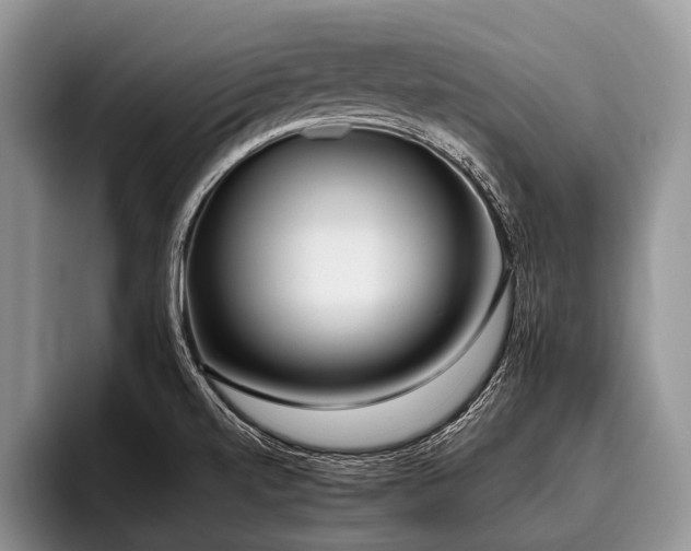 X0000096981520200802081357