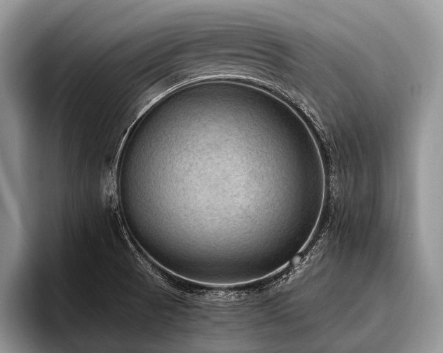 X0000096981521200802081357