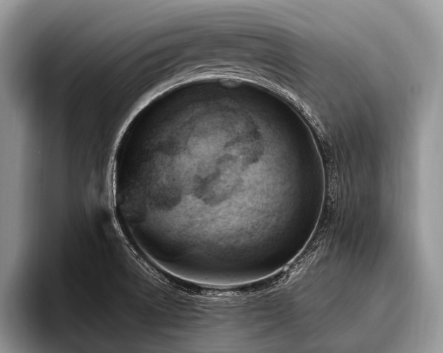 X0000096981522200802081357