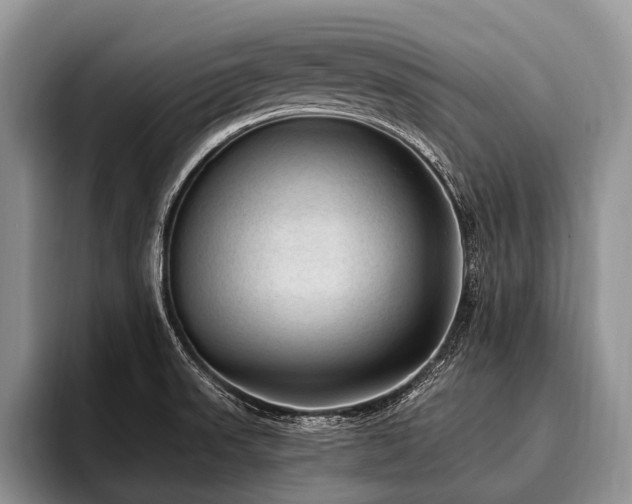 X0000096981523200802081357