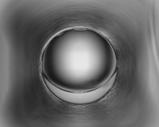 X0000096981524200802081357