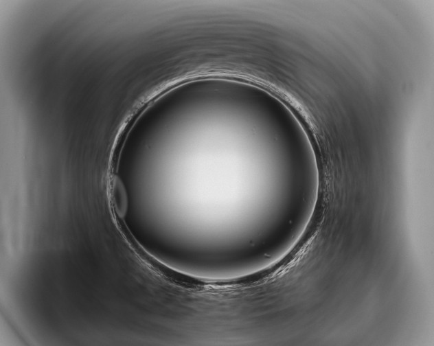 X0000096981525200802081357