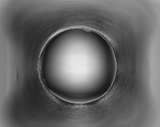 X0000096981526200802081357