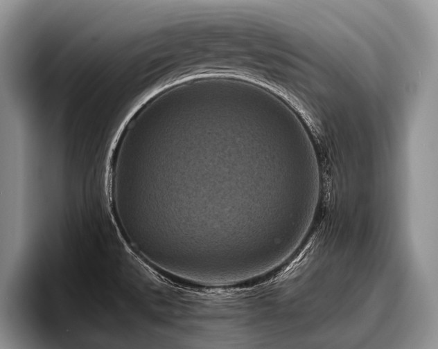 X0000096981527200802081357