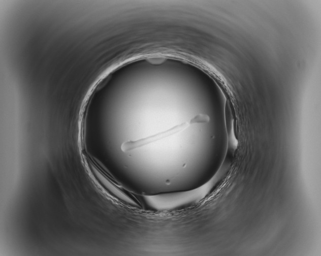 X0000096981528200802081357