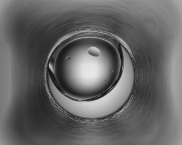 X0000096981530200802081357