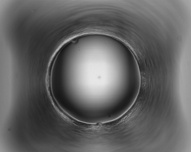 X0000096981531200802081357