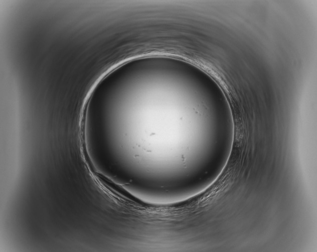 X0000096981532200802081357