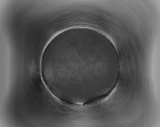 X0000096981533200802081357