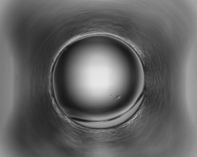 X0000096981534200802081357