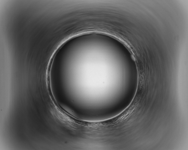 X0000096981535200802081357