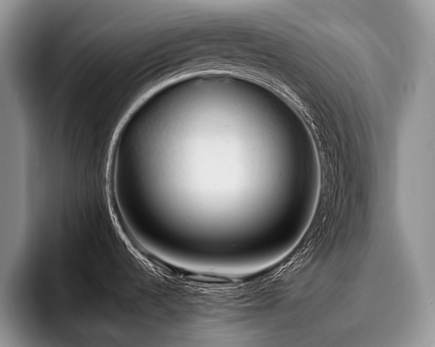 X0000096981536200802081357