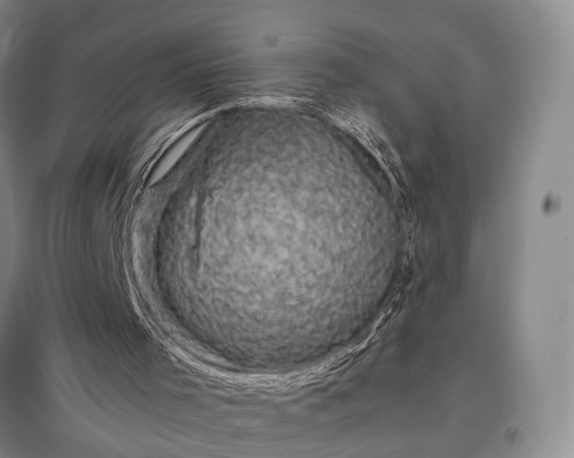 X0000096980001200802151341