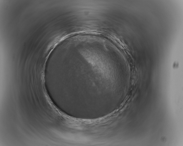 X0000096980002200802151341