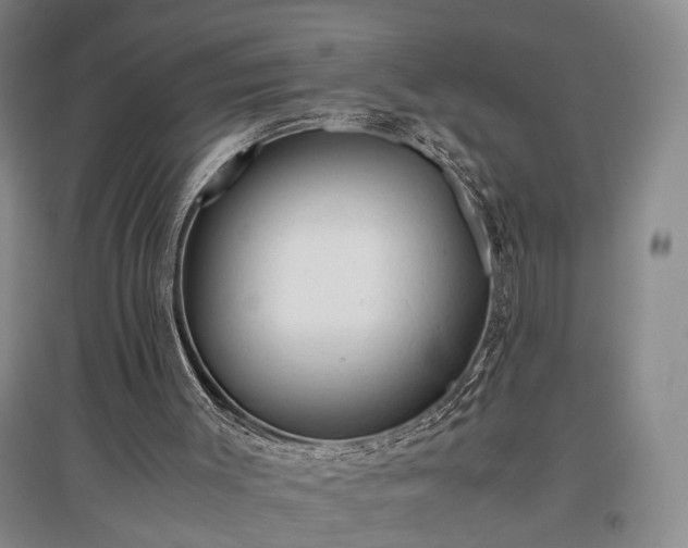 X0000096980003200802151341