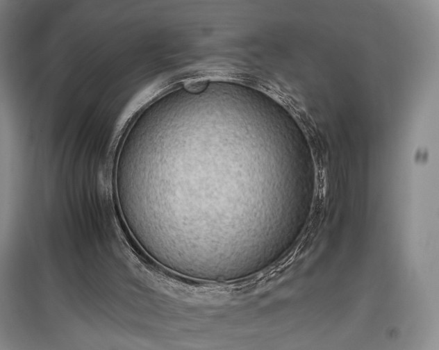 X0000096980004200802151341