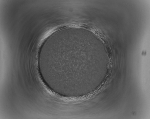 X0000096980005200802151341