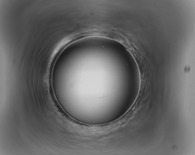 X0000096980006200802151340