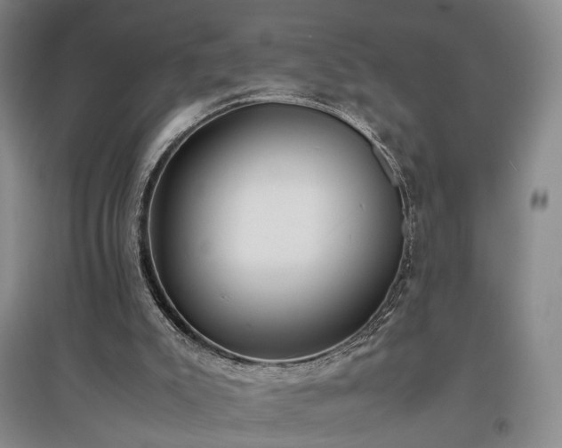 X0000096980007200802151340