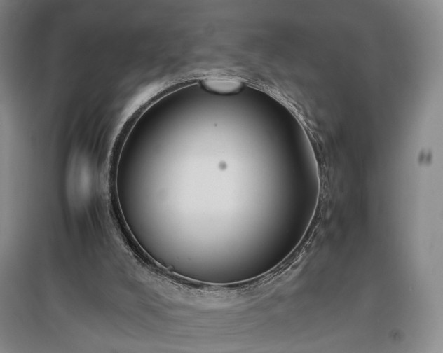 X0000096980008200802151340