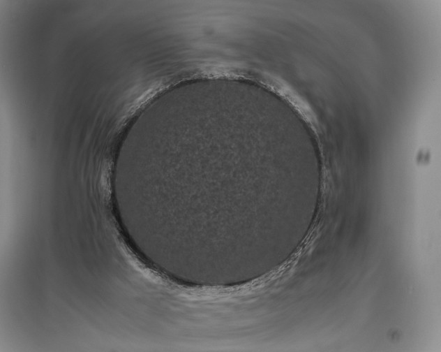 X0000096980009200802151340