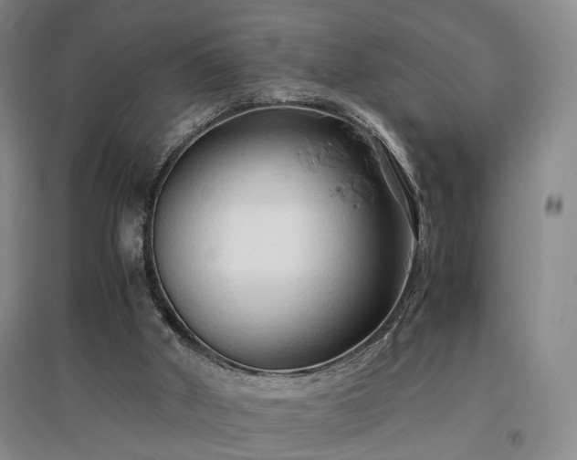 X0000096980010200802151340