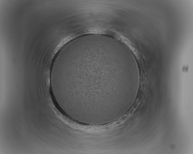 X0000096980011200802151340