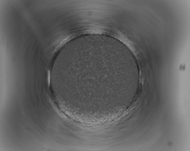 X0000096980013200802151340