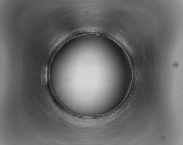 X0000096980014200802151340