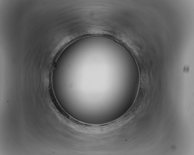 X0000096980015200802151340