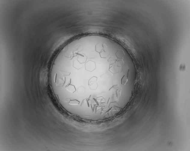 X0000096980016200802151340