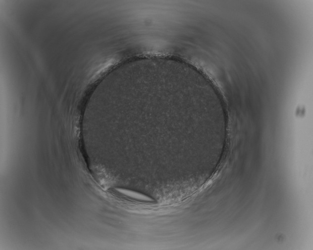 X0000096980017200802151340