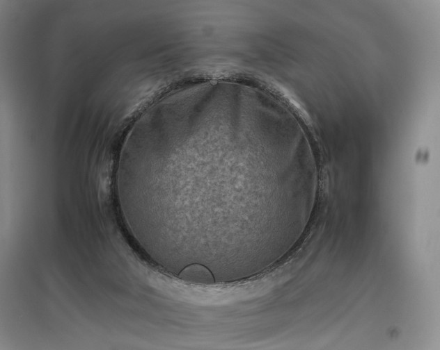 X0000096980018200802151340