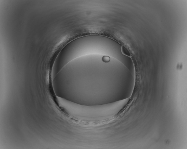 X0000096980019200802151340