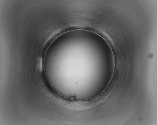 X0000096980020200802151340