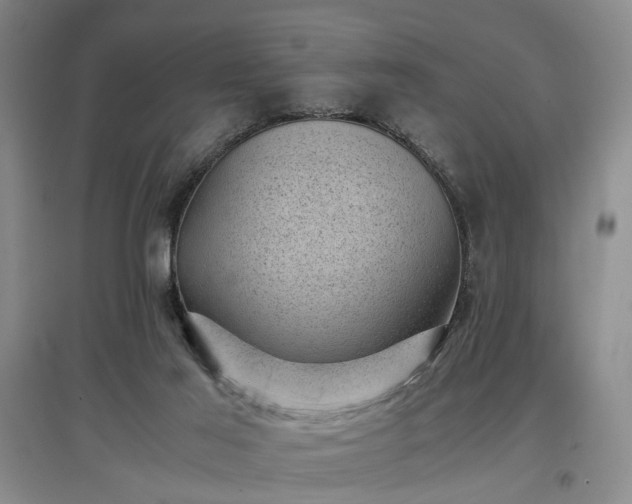 X0000096980021200802151340