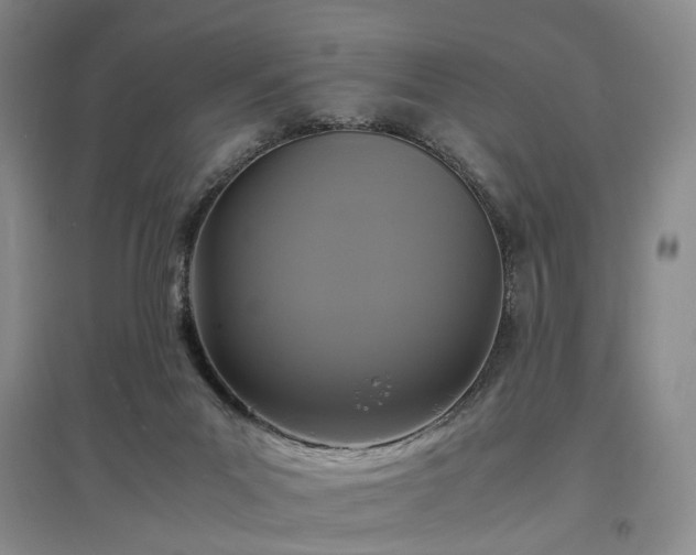 X0000096980023200802151340