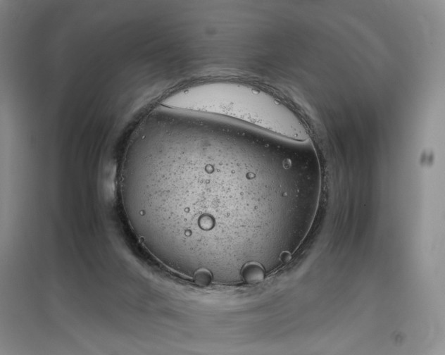 X0000096980024200802151340