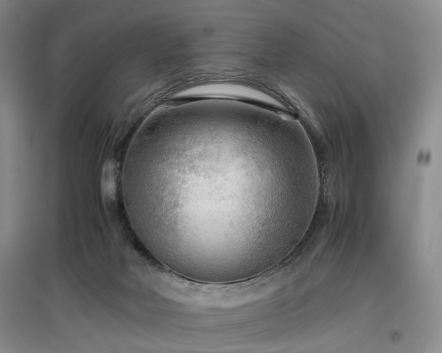 X0000096980026200802151340