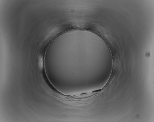 X0000096980027200802151340