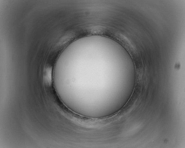 X0000096980028200802151340