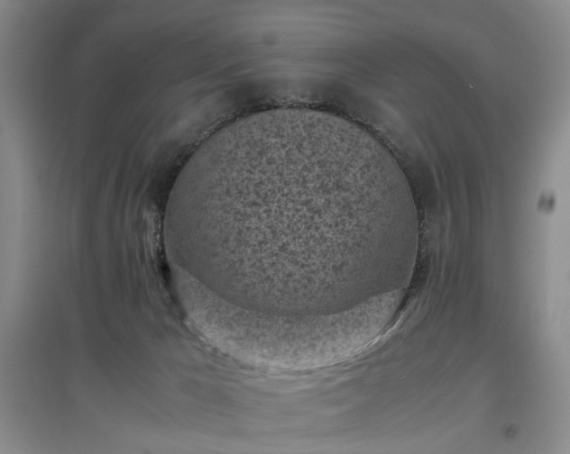 X0000096980029200802151340