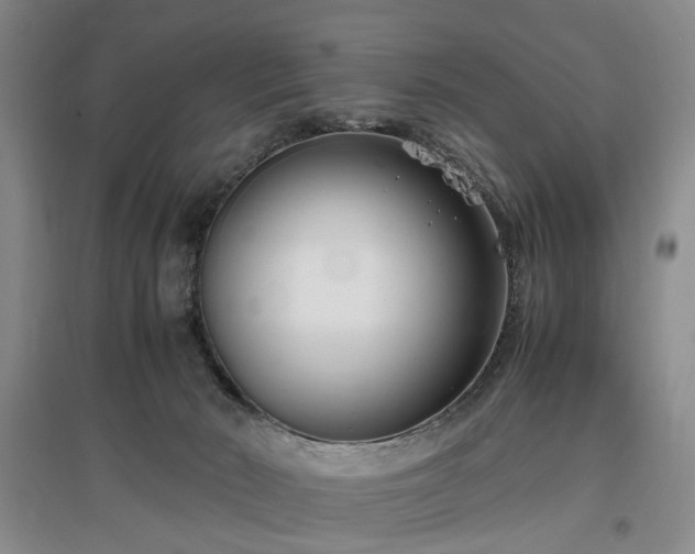 X0000096980030200802151340