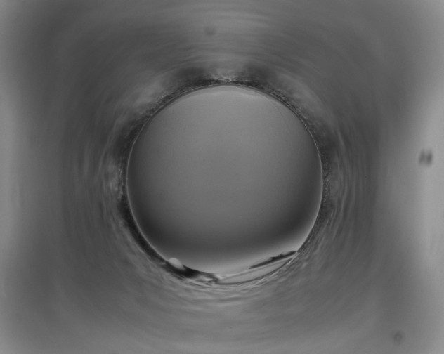 X0000096980031200802151340