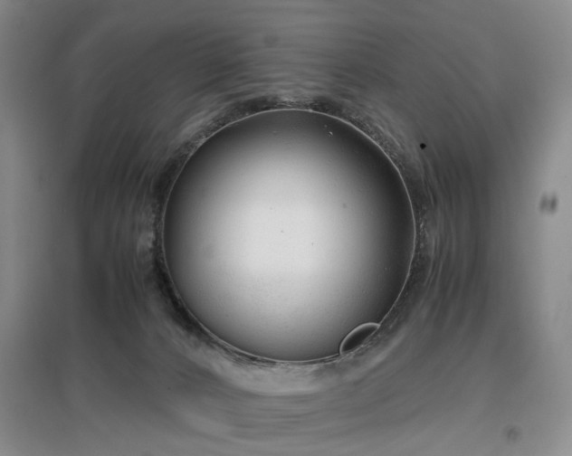 X0000096980032200802151340