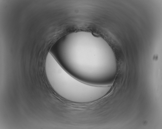 X0000096980033200802151340