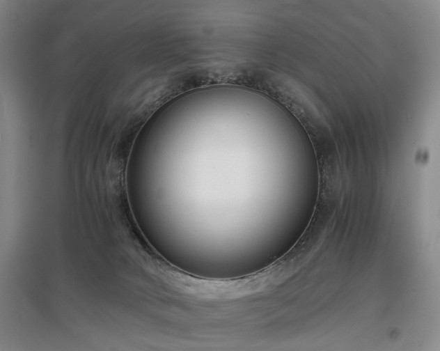 X0000096980034200802151340