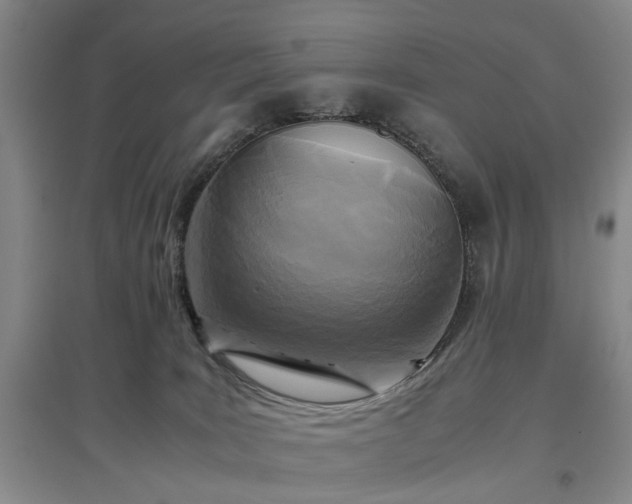 X0000096980035200802151340