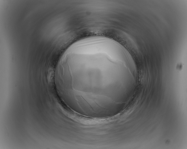 X0000096980036200802151340