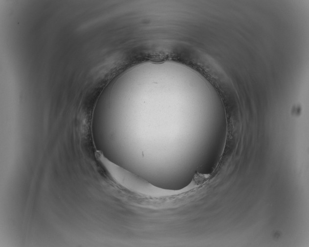 X0000096980037200802151340